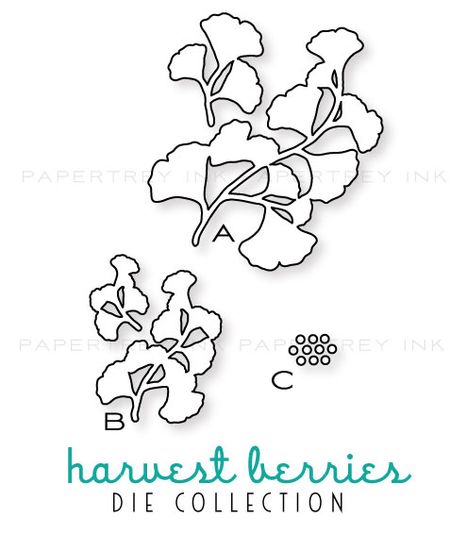 Harvest-berries-dies